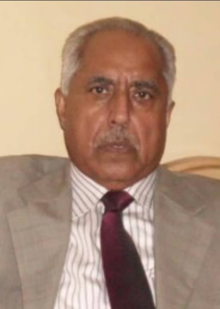 پروفسور محمد سلیم اختر